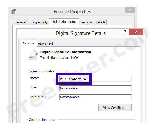 Screenshot of the WildTangent Inc certificate